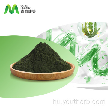 Nagykereskedelmi szerves spirulina por
